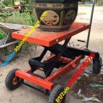 XE NÂNG CHẬU CẢNH
