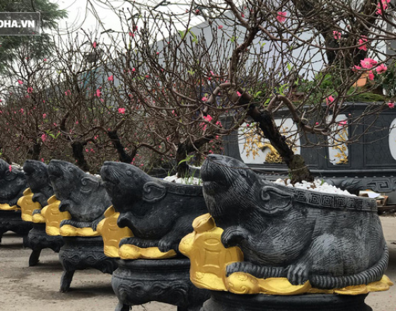 Chuột đen cưỡi vàng cõng hoa đào hút khách dịp Tết 2020